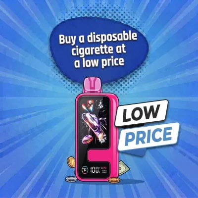 Buy a disposable cigarette at a low price