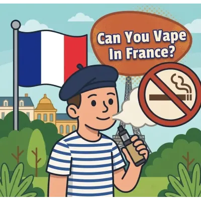 Can You Vape in France? Vape Laws in France