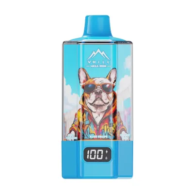 VHILL HEXA 300K Puffs - Blueberry Ice / Raspberry Watermelon / Aloe Grape / Strawberry Banana / Love66 / Blueberry Cherry - Disposable Vape
