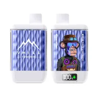 VHILL TWINS 60K Puffs - Blue Razz Lemonade & Lemon Lime - Disposable Vape