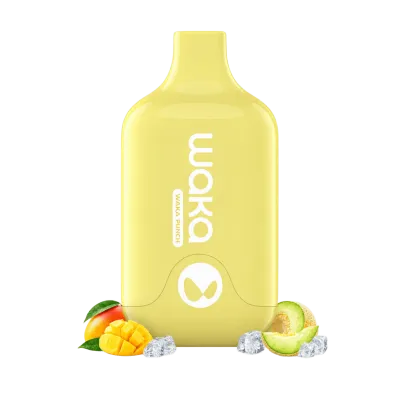 WAKA Smash 6000 Puffs - Mango Melon - Disposable Vape WAKA Smash 6000 Puffs - Mango Melon - Disposable Vape
