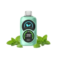 WAKA PA25000 Puffs - Fresh Mint - 50 mg Einweg-E-Zigarette 5%
