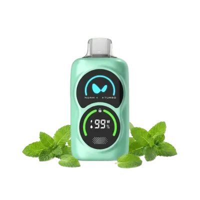 WAKA PA25000 Puffs - Fresh Mint - 50 mg Disposable Vape 5% WAKA PA25000 Puffs - Fresh Mint - 50 mg Disposable Vape 5%