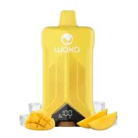 WAKA VOJO 60000 Puffs 50mg - Mango Ice - Disposable Vape 5%