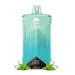 WAKA VOJO 60000 Puffs 50mg - Miami Mint - Disposable Vape 5%
