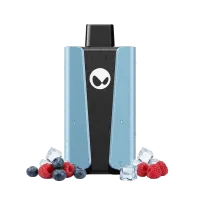 WAKA soPro 20000 Puffs 50mg - Blueberry Raspberry - Vape Jetable 5% 