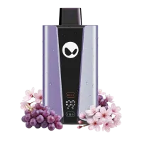 WAKA soPro 20000 Puffs 50mg - Sakura Grape - Vape Jetable 5% 