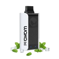 WAKA soPro PA10000 Puffs - Fresh Mint – Einweg-E-Zigarette 