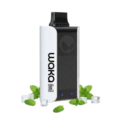 WAKA soPro PA10000 Puffs - Fresh Mint - Disposable Vape 