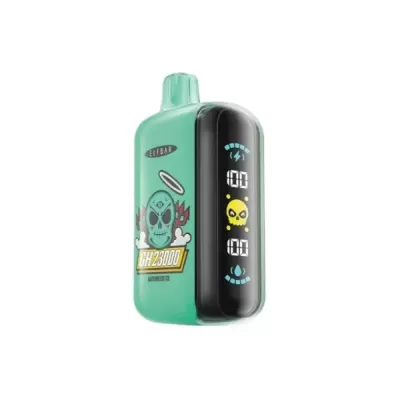 ELF BAR GH23000 - FRESA HELADA 5% - RECARGABLE