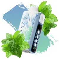 ELF BAR ICE KING 40000 - MIAMI MINT 5% ELF BAR ICE KING 40000 - MIAMI MINT 5%