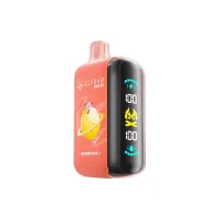 ELF BAR RAYA D3 25000 - WASSERMELONEN-EIS 5% - WIEDERAUFLADBAR