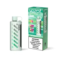 VOZOL GEAR 25000 - WASSERMELONE-MINZE 5% NIKOTIN