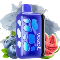 VOZOL RAVE 40K - Myrtille Pastèque 5% NICOTINE VOZOL RAVE 40K - Myrtille Pastèque 5% NICOTINE