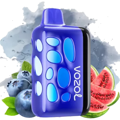 VOZOL RAVE 40K - Blueberry Watermelon 5% NICOTINE